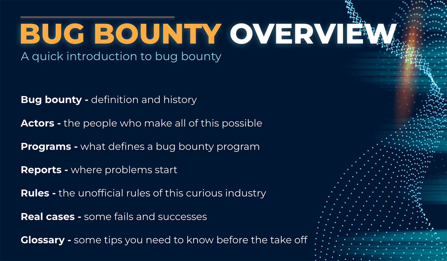 Bug Bounty overview