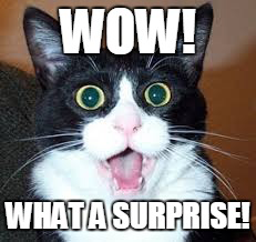 massive subdomain surprise