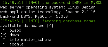 sqlmap databases