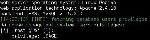 sqlmap privileges